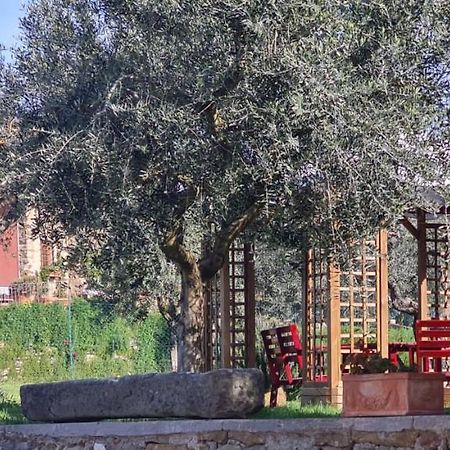 Agriturismo Il Pintello San Casciano in Val di Pesa Exterior photo