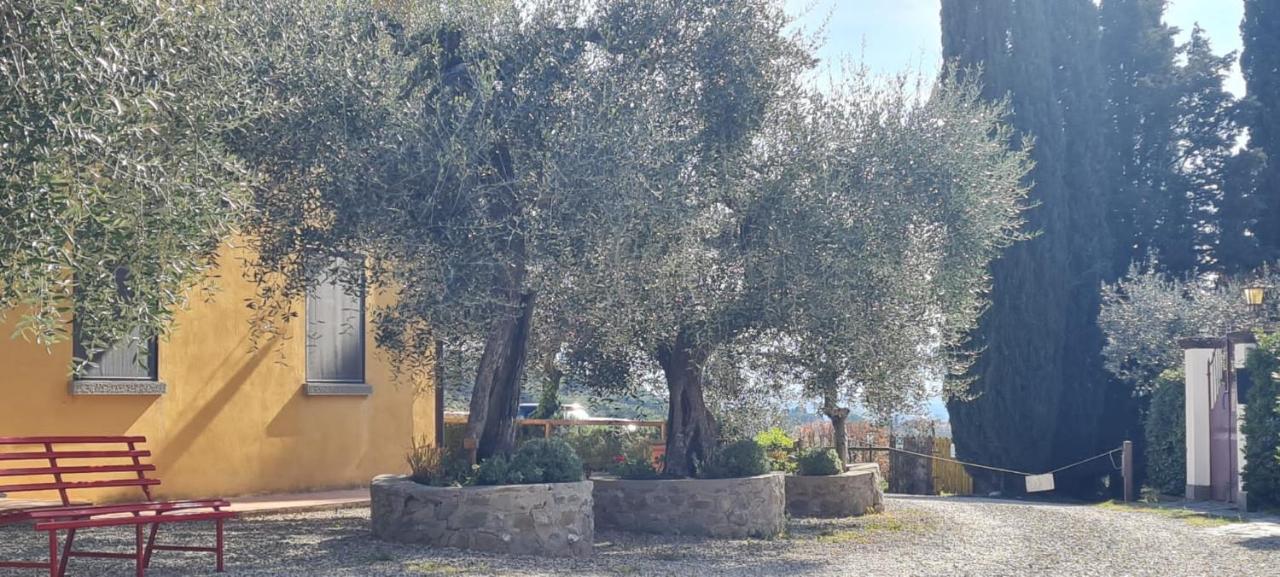 Agriturismo Il Pintello San Casciano in Val di Pesa Exterior photo