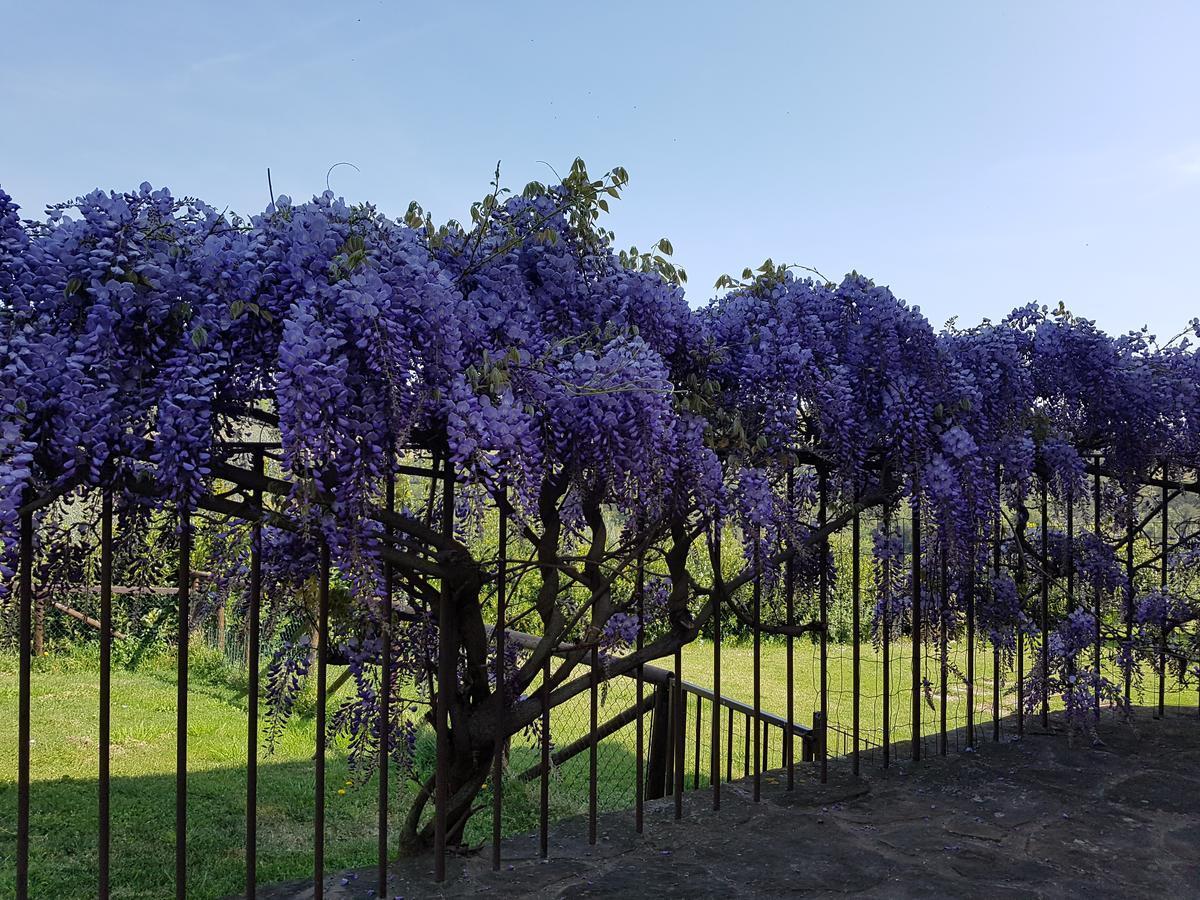 Agriturismo Il Pintello San Casciano in Val di Pesa Exterior photo